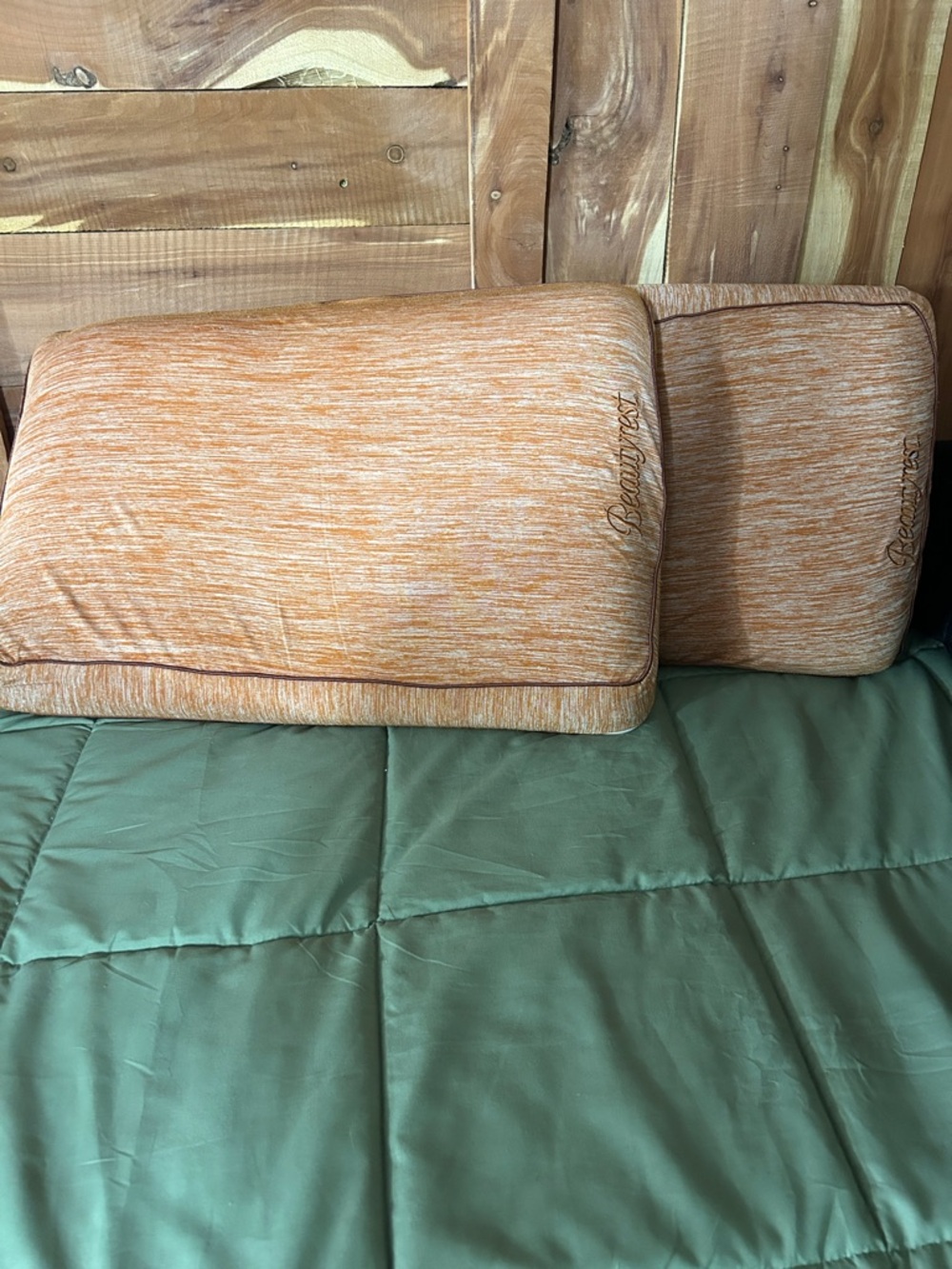 Memory Foam Silver Coppergel Beads Pillows by Beautyrest (Set of Two Pillows)